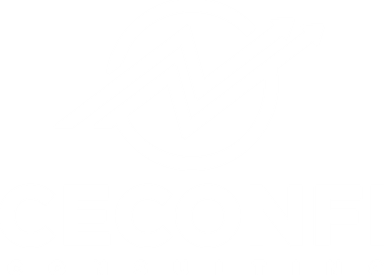 Ceconfi Consulting