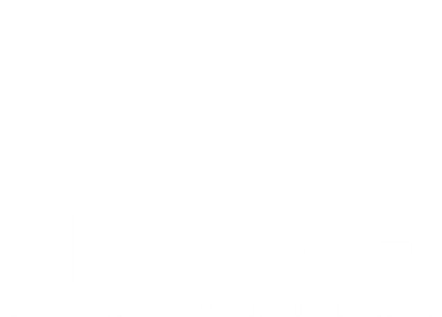 Ceconfi Consulting